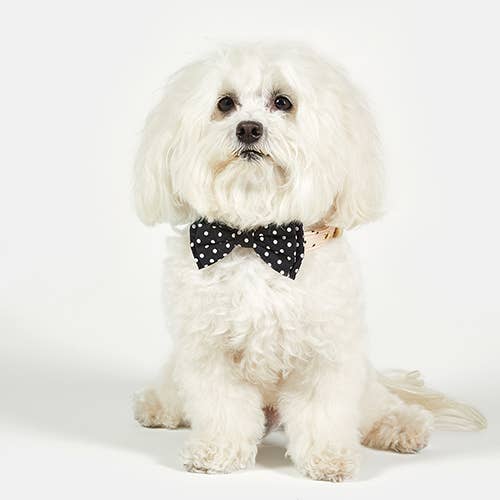 Pet Bow Ties