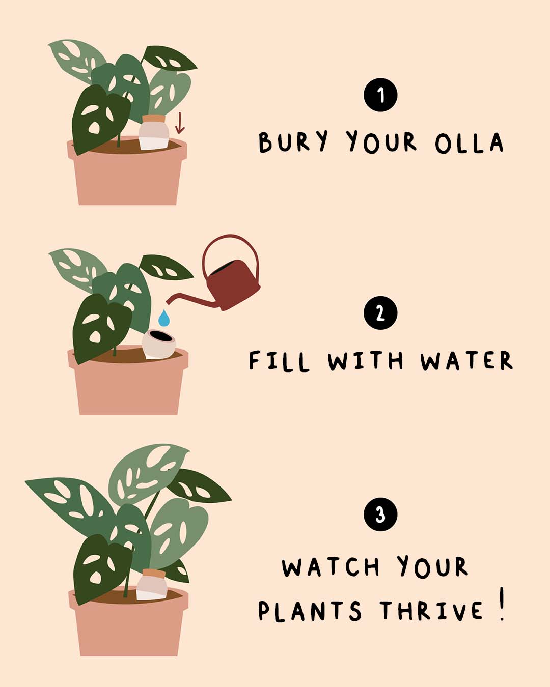 Plant Hydrating Olla