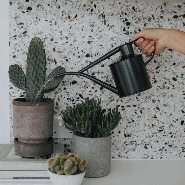 Watering Can - The Fazeley Flow