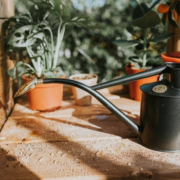 Watering Can - The Rowley Ripple