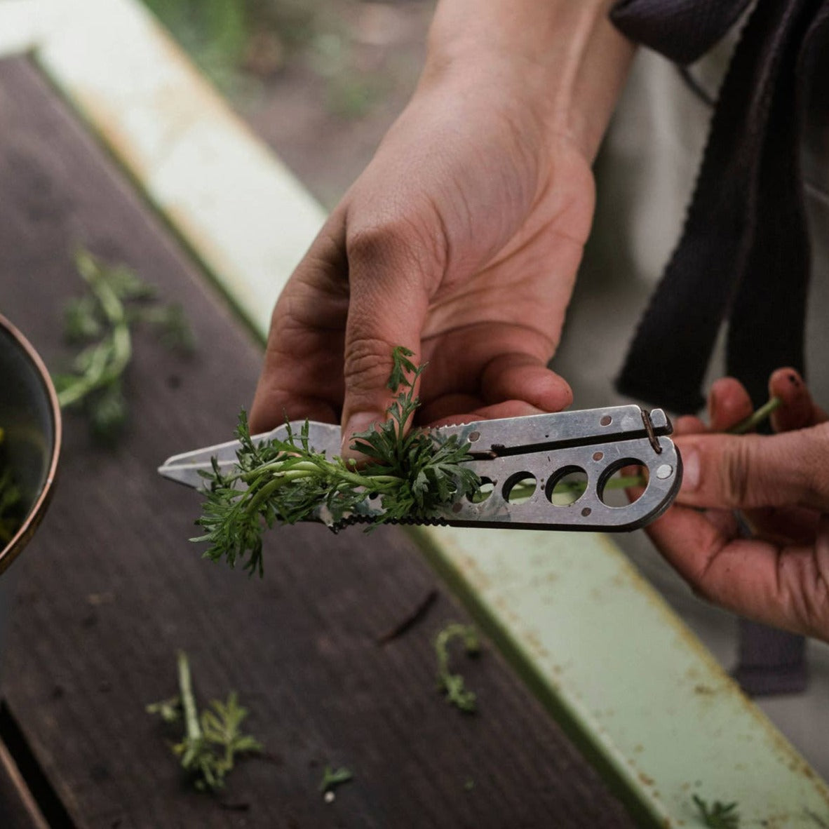 Herb Harvest & Strip Tool